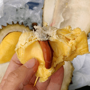 Buah Durian Musang King